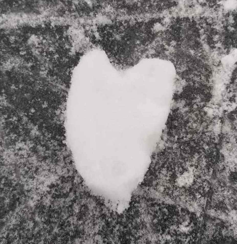 oh the things we see when we stop to observe