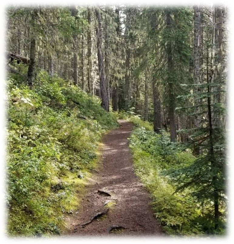 Finding My Path (2019)