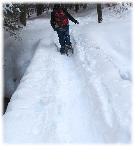 Snowshoeing